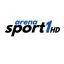 Sport Arena HD