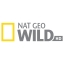 Nat Geo Wild HD